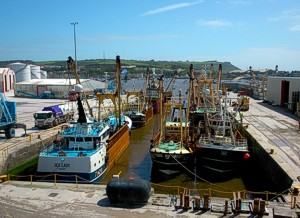 Fishing fleet at Victoria Wharf, Plymouth